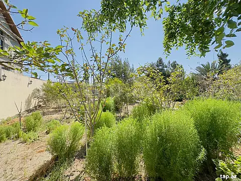 Satılır 11 otaqlı həyət evi