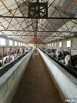 Satılır obyekt — Bərdə