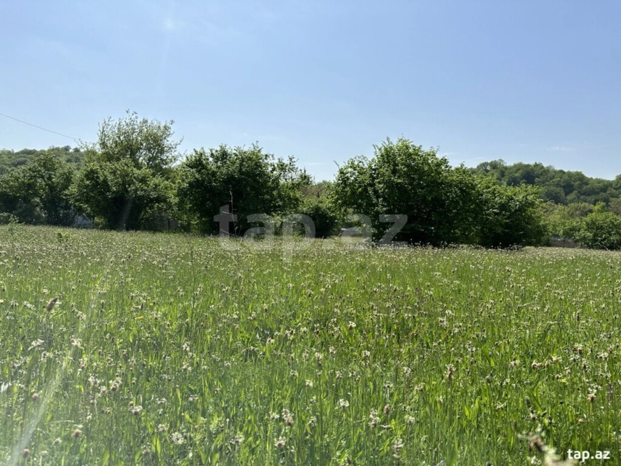 Satılır torpaq sahəsi