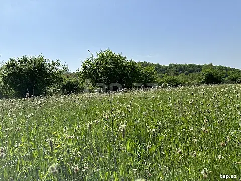 Satılır torpaq sahəsi — Qəbələ