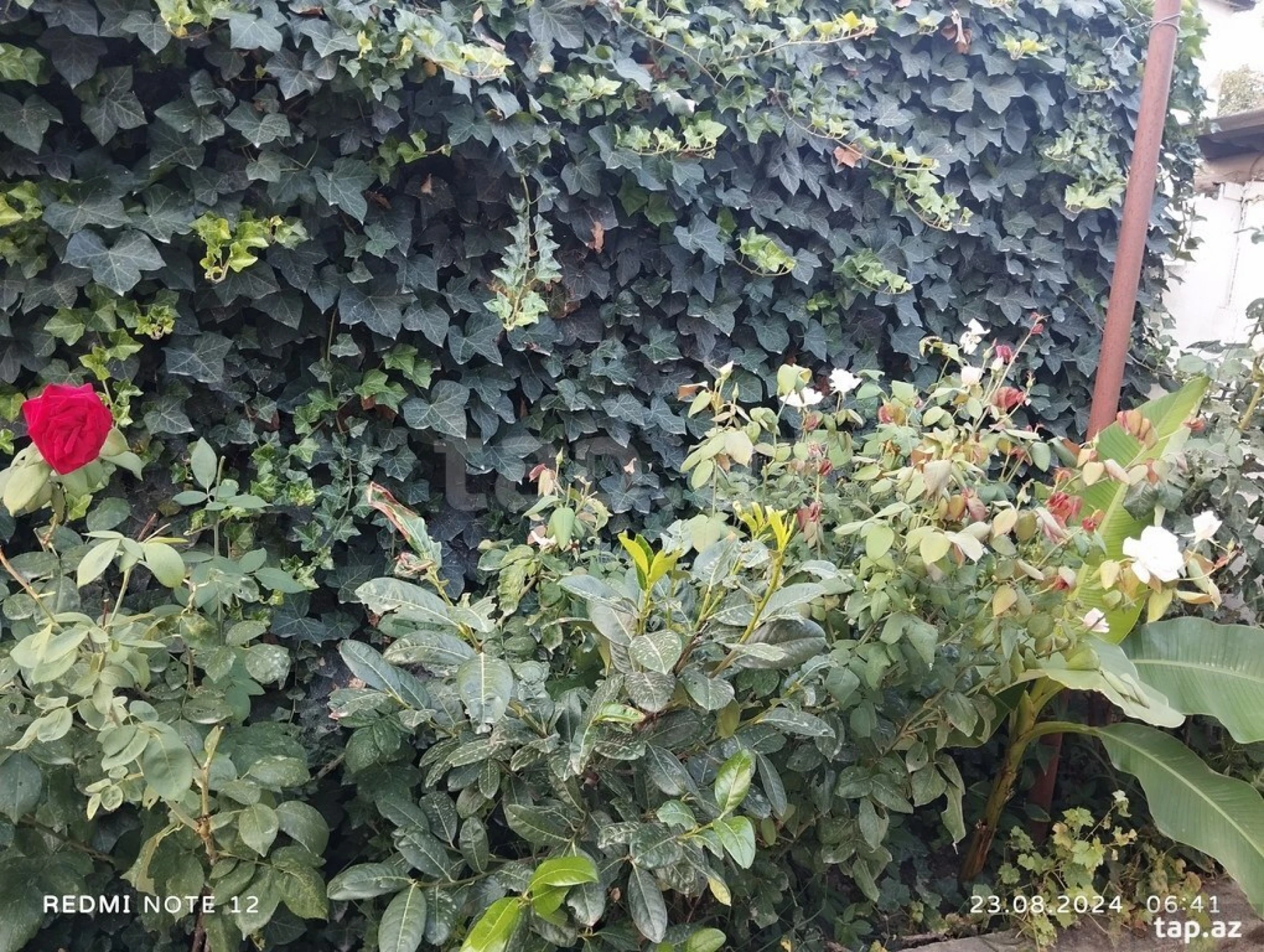 Satılır 4 otaqlı həyət evi