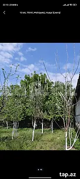 Satılır torpaq sahəsi — İsmayıllı