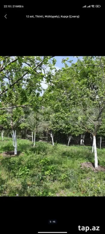 Satılır torpaq sahəsi