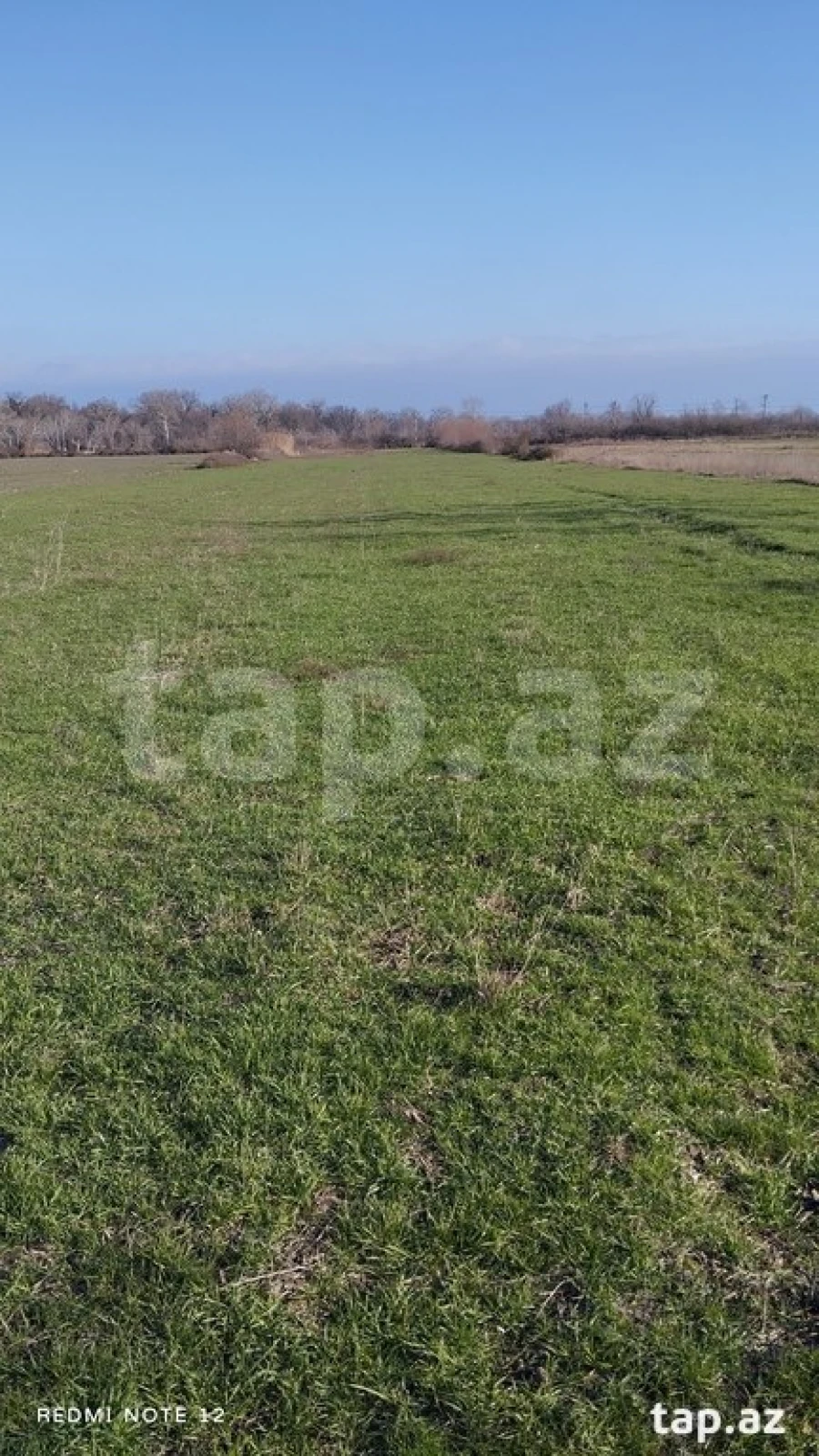 Satılır torpaq sahəsi