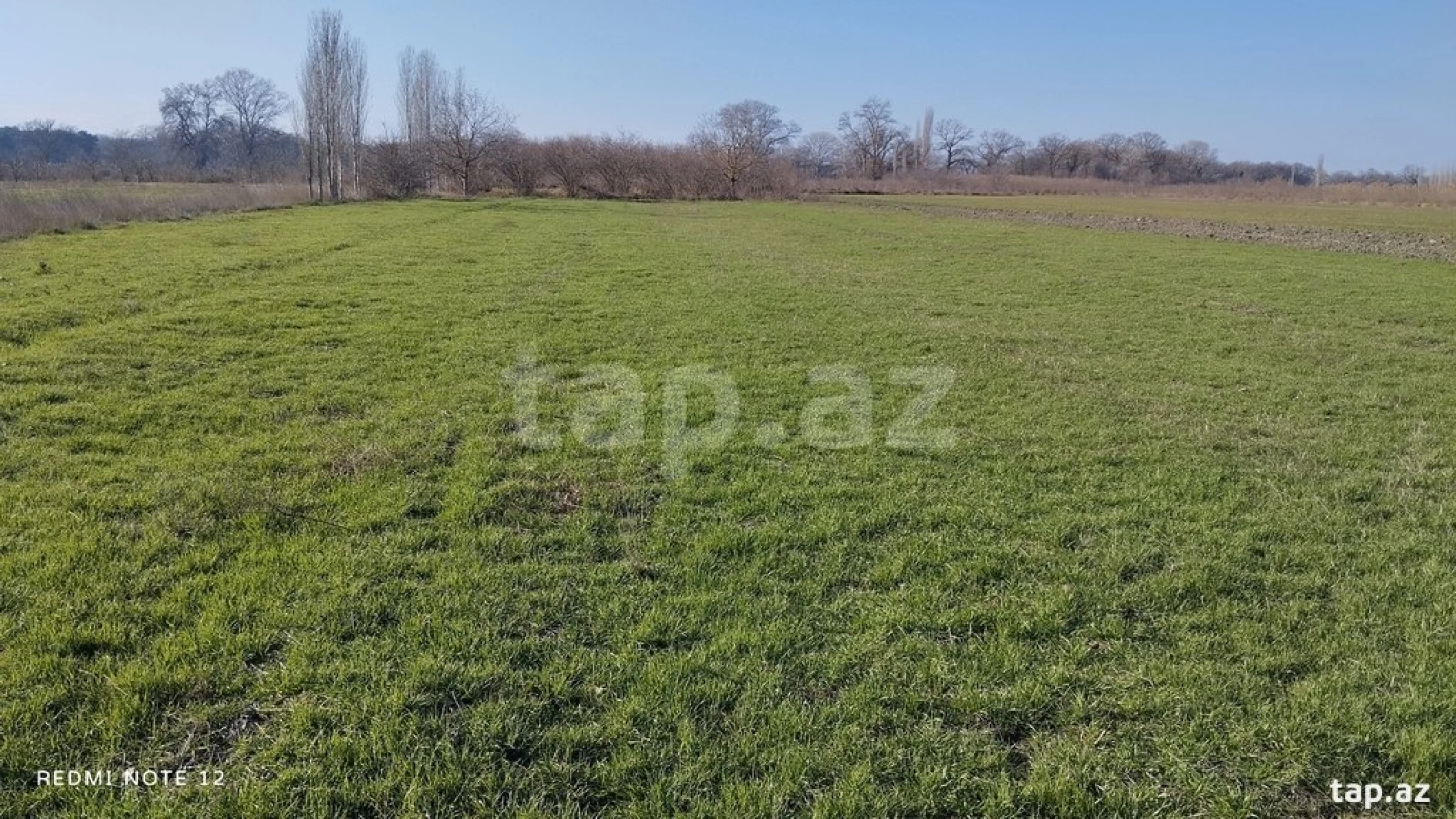 Satılır torpaq sahəsi