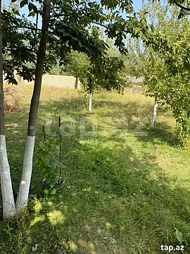 Satılır torpaq sahəsi — İsmayıllı