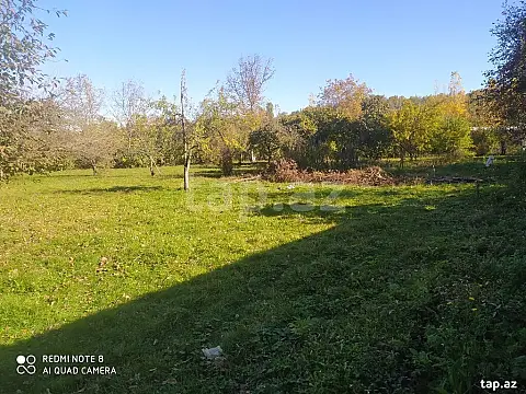 Satılır torpaq sahəsi — Qusar