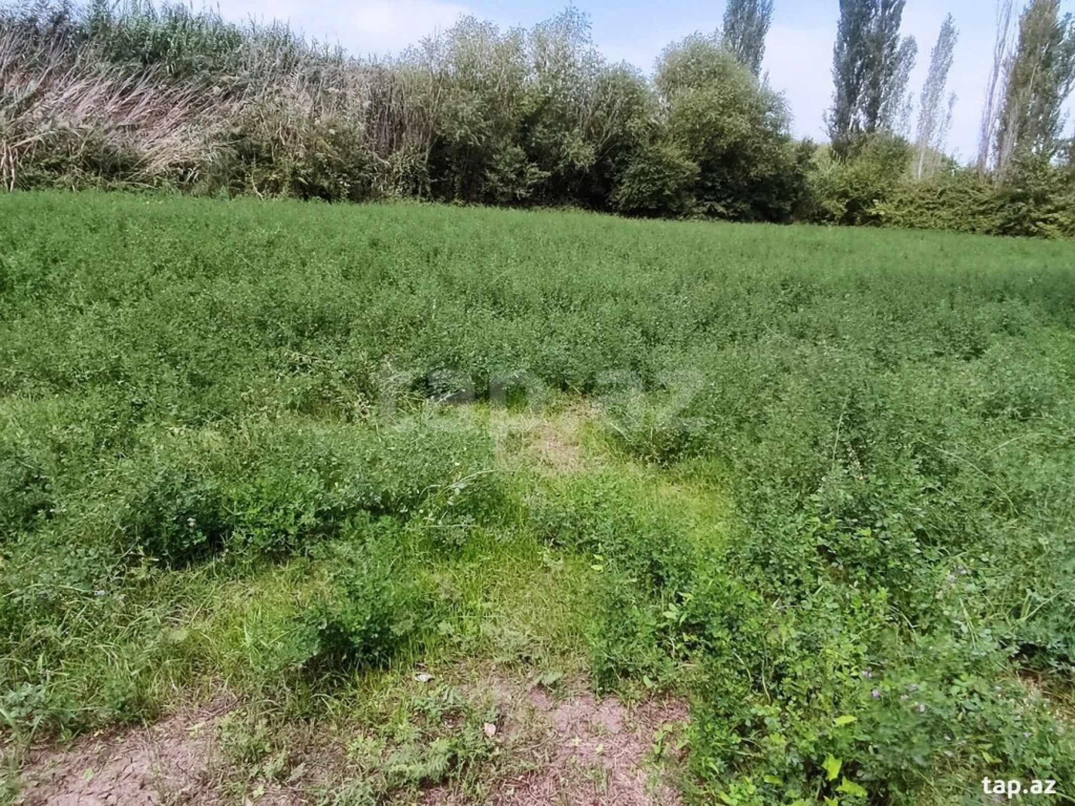 Satılır 3 otaqlı həyət evi