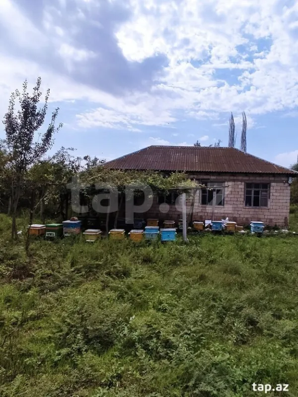 Satılır 3 otaqlı həyət evi