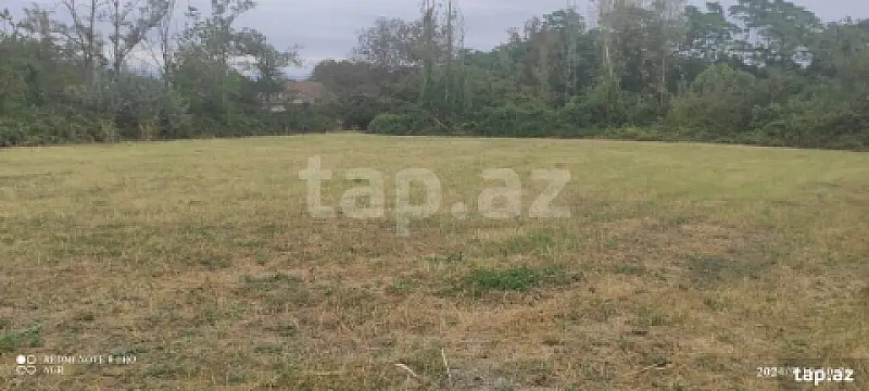 Satılır torpaq sahəsi — Şəki