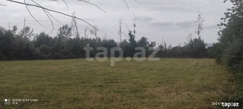 Satılır torpaq sahəsi