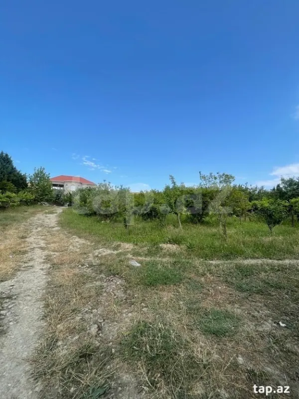 Satılır torpaq sahəsi