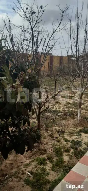Satılır 12 otaqlı həyət evi