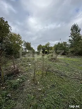 Satılır torpaq sahəsi — Qəbələ