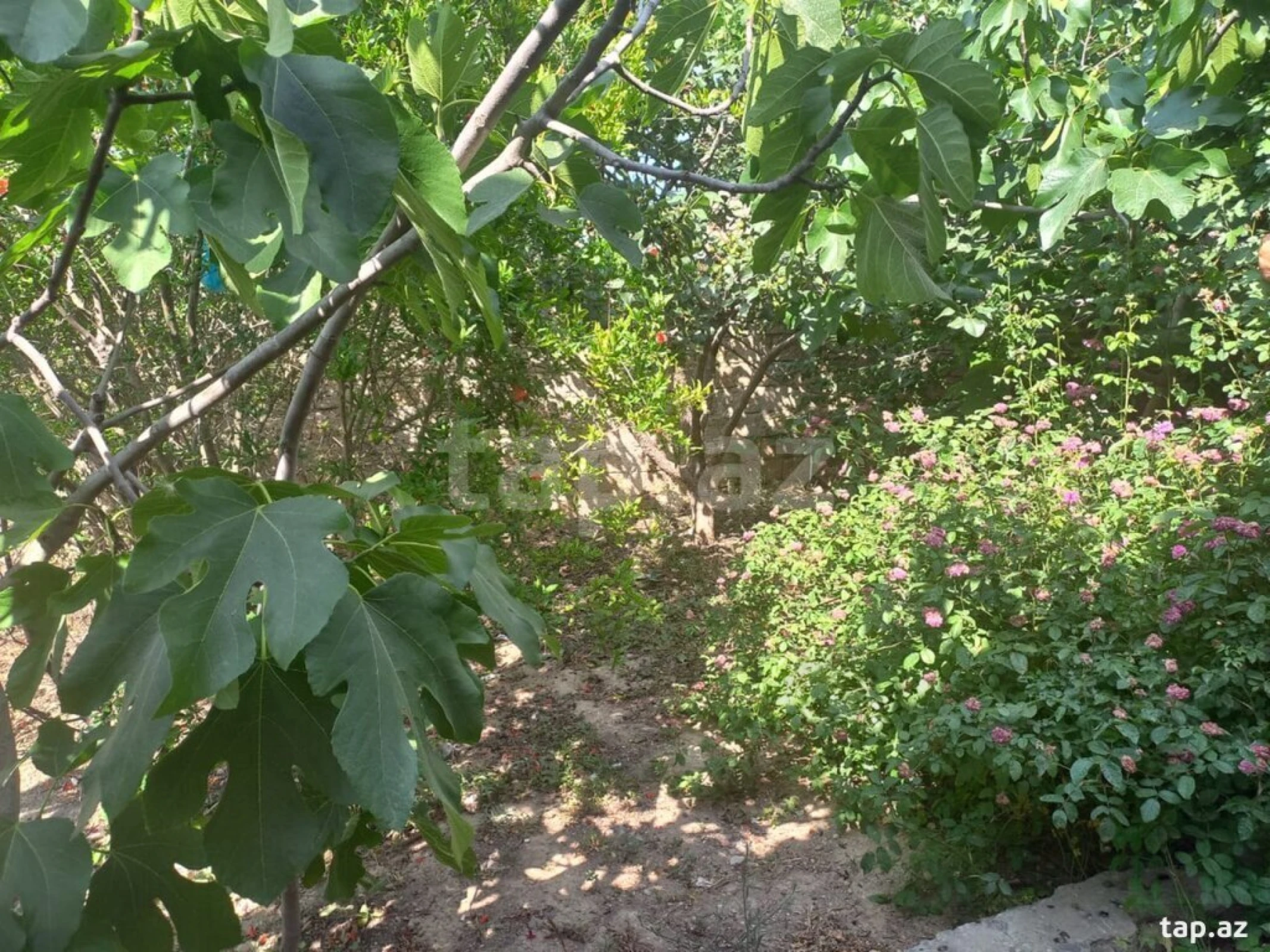 Satılır 4 otaqlı həyət evi