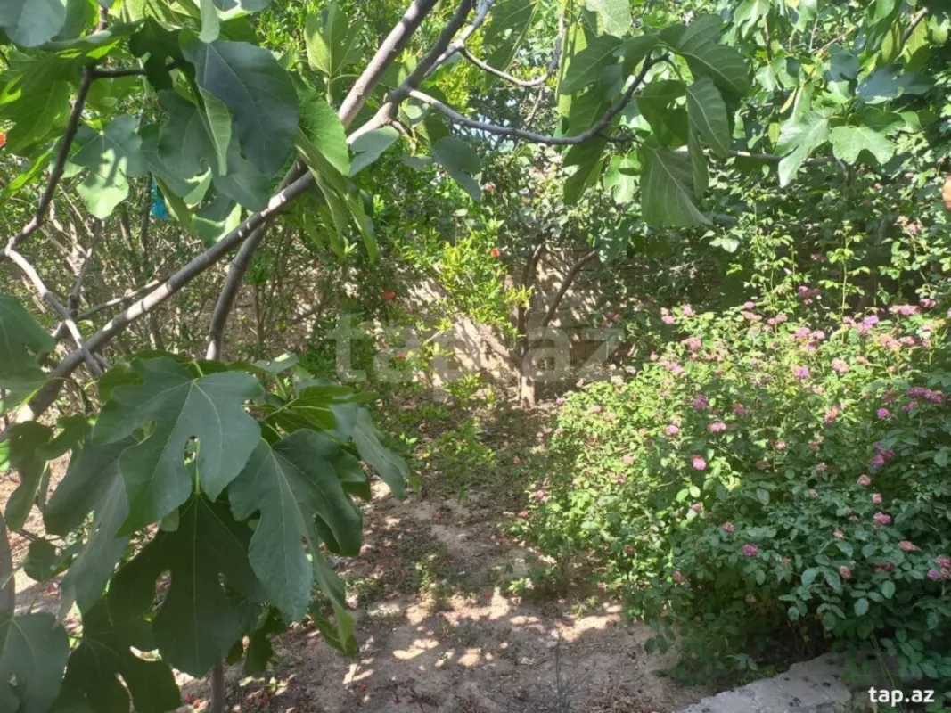 Satılır 4 otaqlı həyət evi