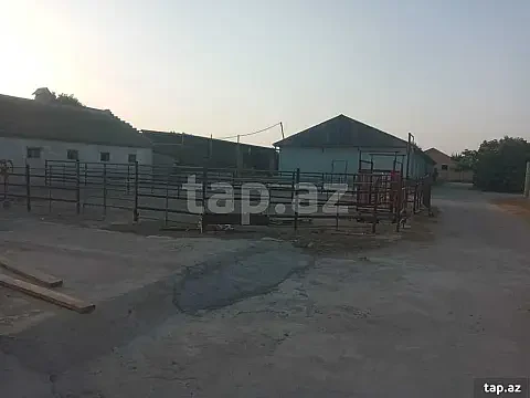 Satılır obyekt — Bakı, Binə
