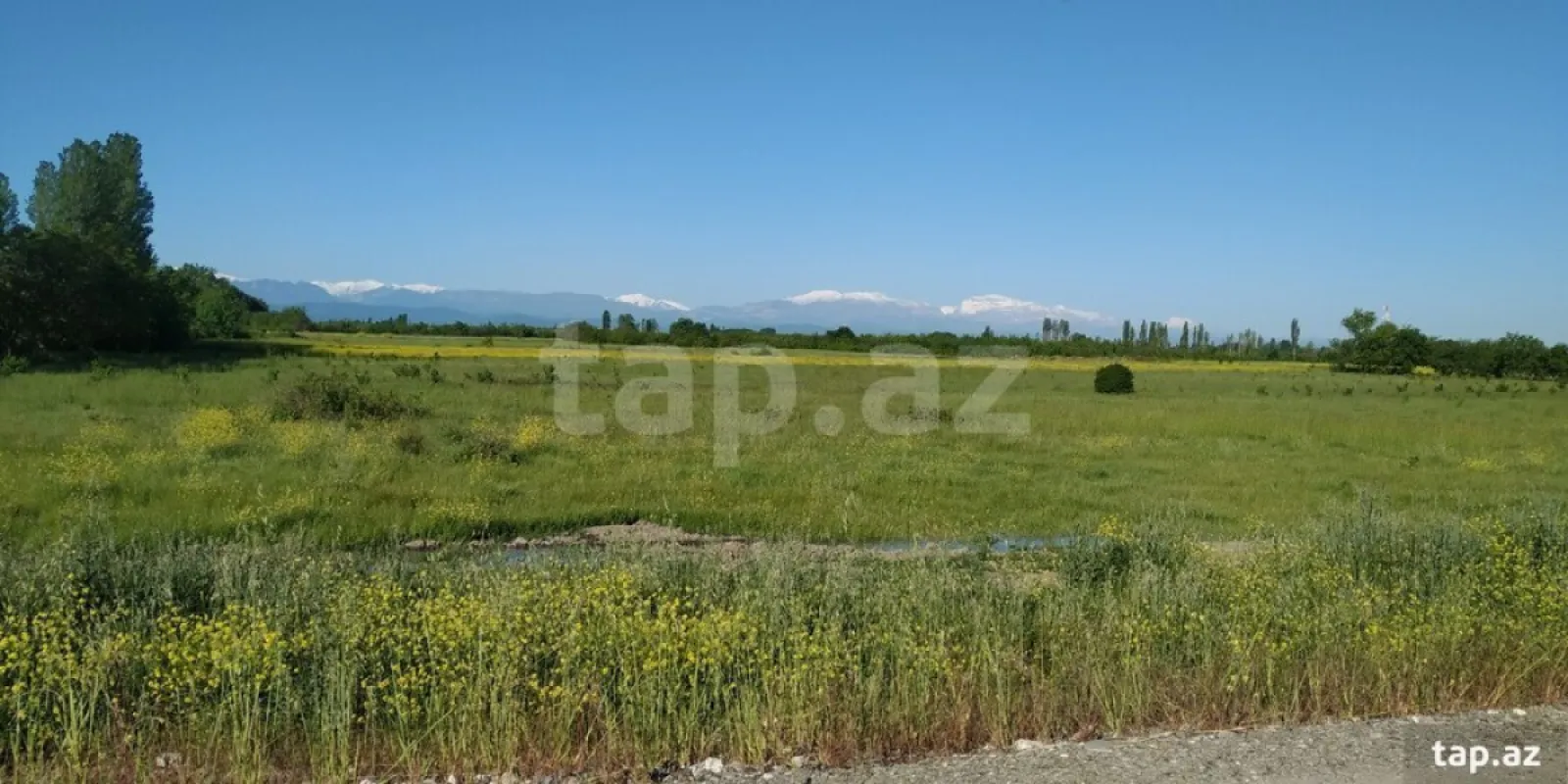 Satılır torpaq sahəsi