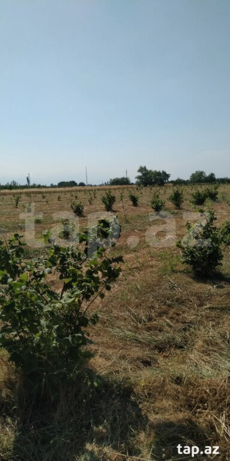 Satılır torpaq sahəsi