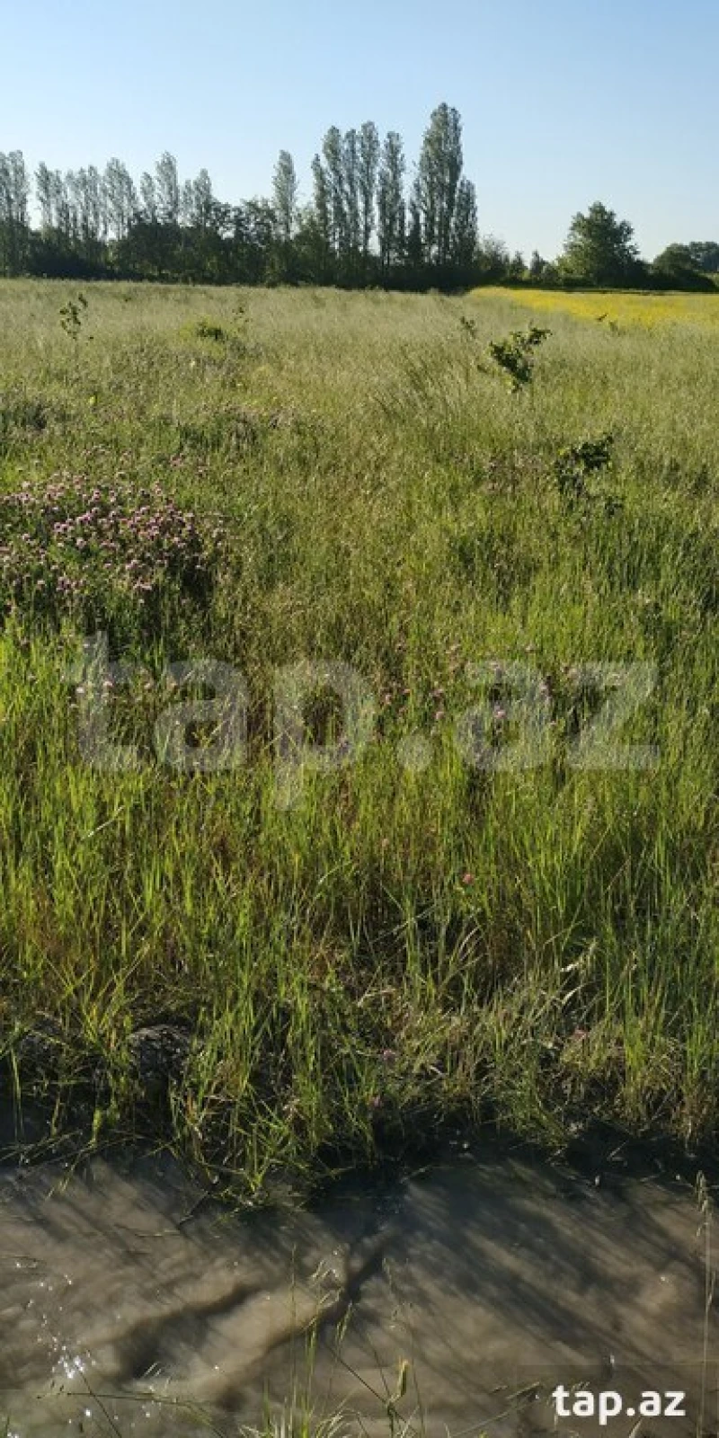 Satılır torpaq sahəsi