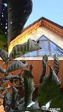 Kirayə verilir 3 otaqlı həyət evi 120 m²