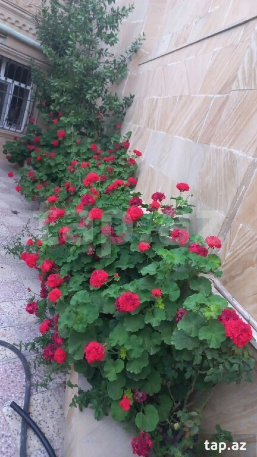 Satılır 8 otaqlı həyət evi 220 m²