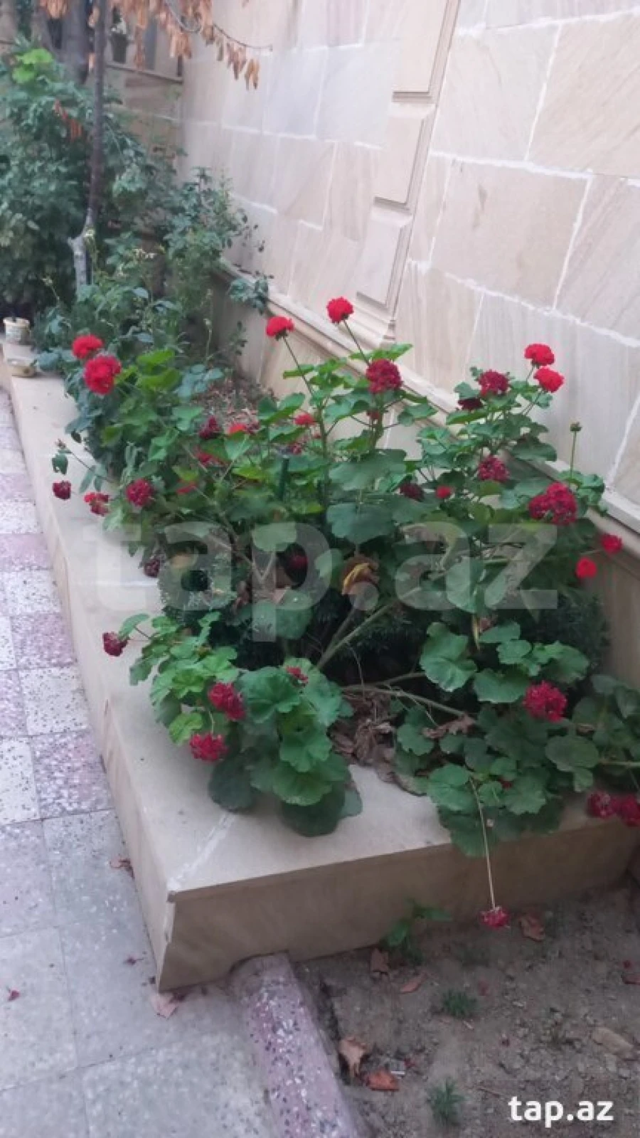 Satılır 8 otaqlı həyət evi 220 m²