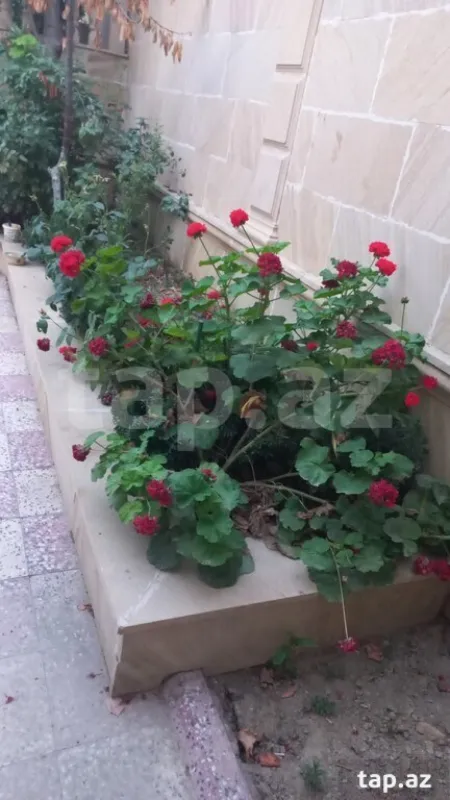 Satılır 8 otaqlı həyət evi 220 m²