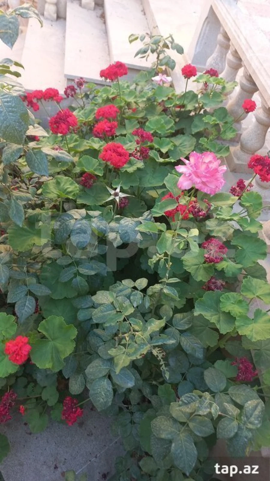 Satılır 8 otaqlı həyət evi 220 m²