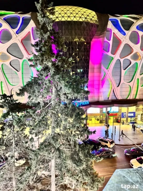 Kirayə verilir 2 otaqlı yeni tikili 119 m²