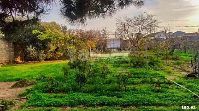 Satılır torpaq sahəsi — Bakı, Buzovna