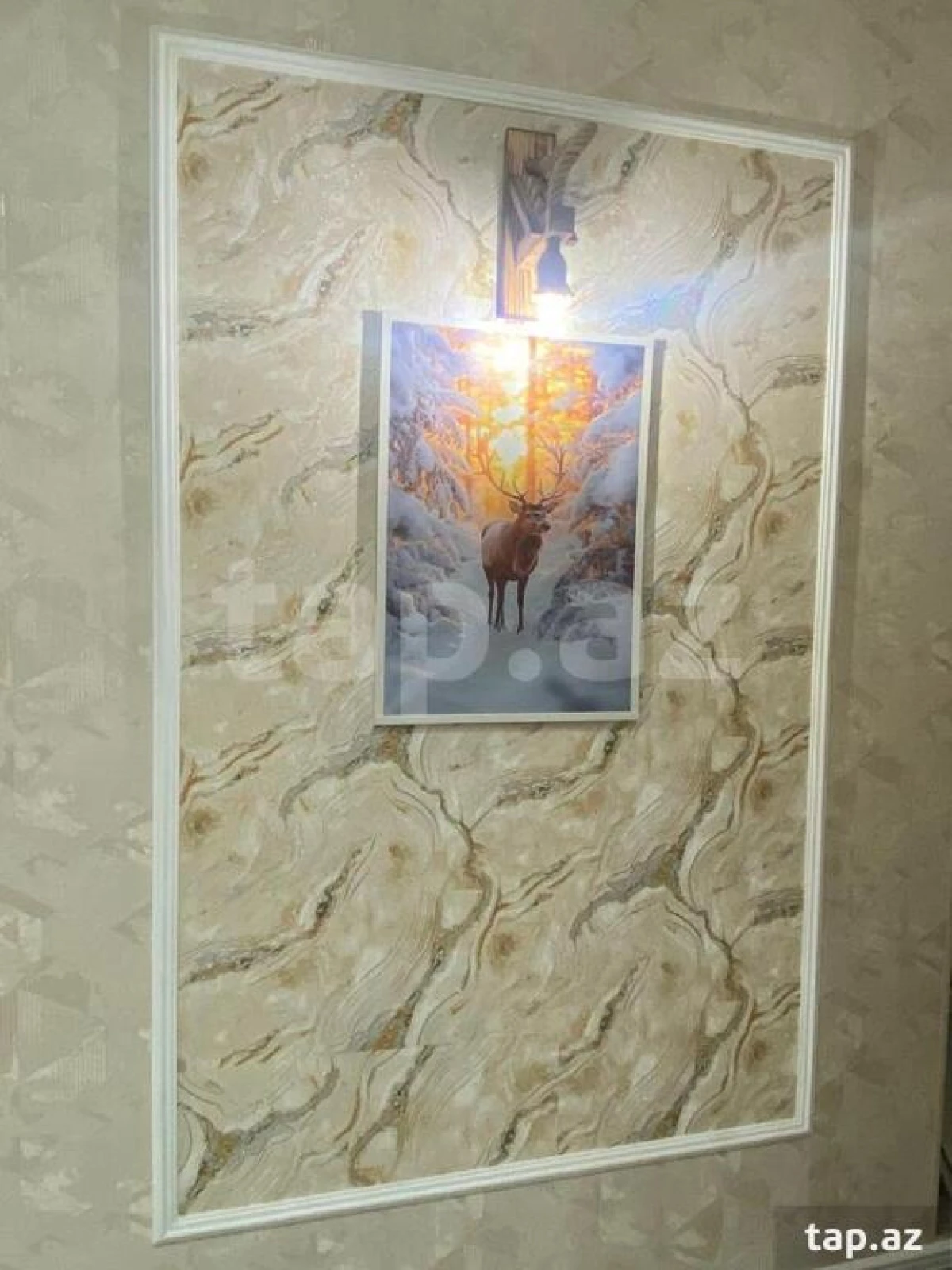 Kirayə verilir 3 otaqlı yeni tikili 60 m²