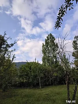 Satılır torpaq sahəsi — Qəbələ