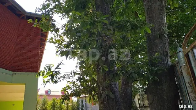 Kirayə verilir 5 otaqlı həyət evi