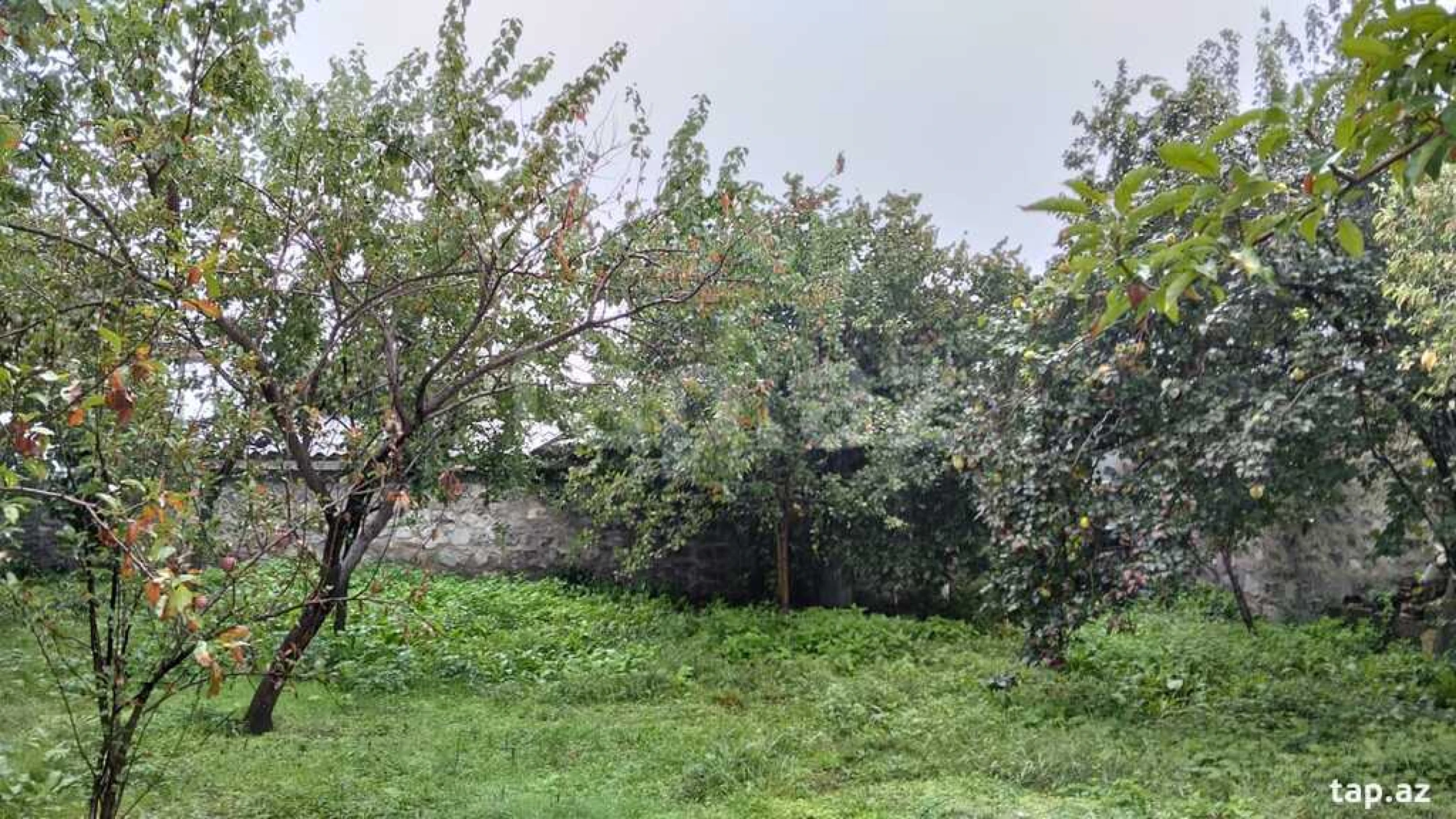 Satılır 3 otaqlı həyət evi 100 m²