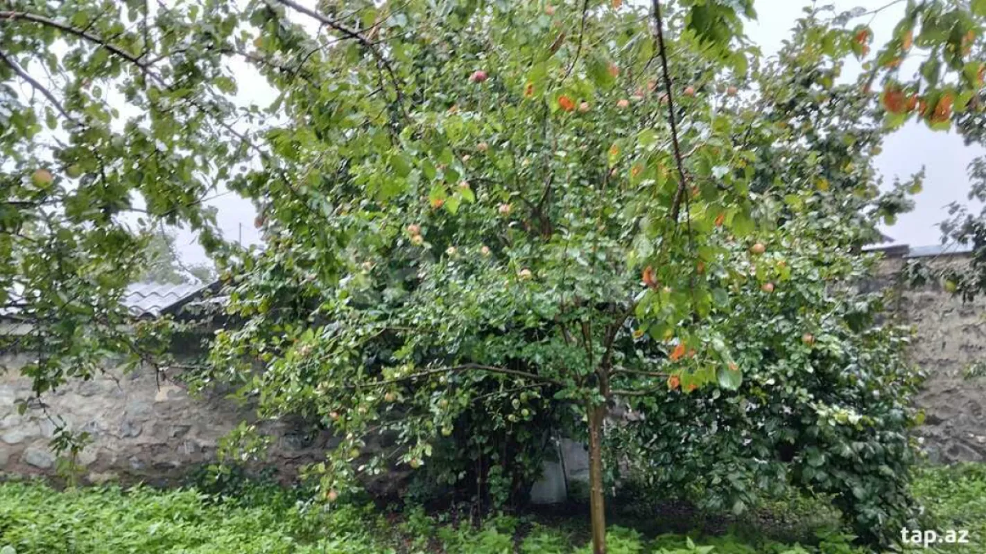 Satılır 3 otaqlı həyət evi 100 m²