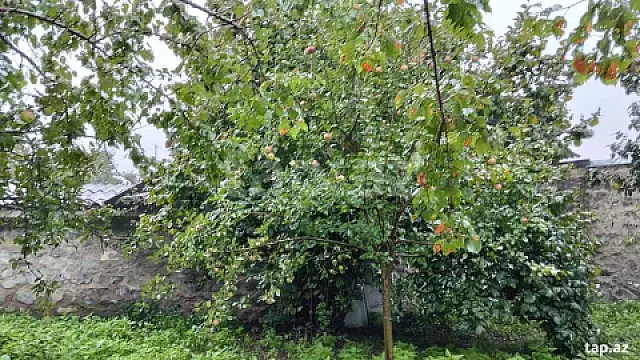 Satılır 3 otaqlı həyət evi 100 m²