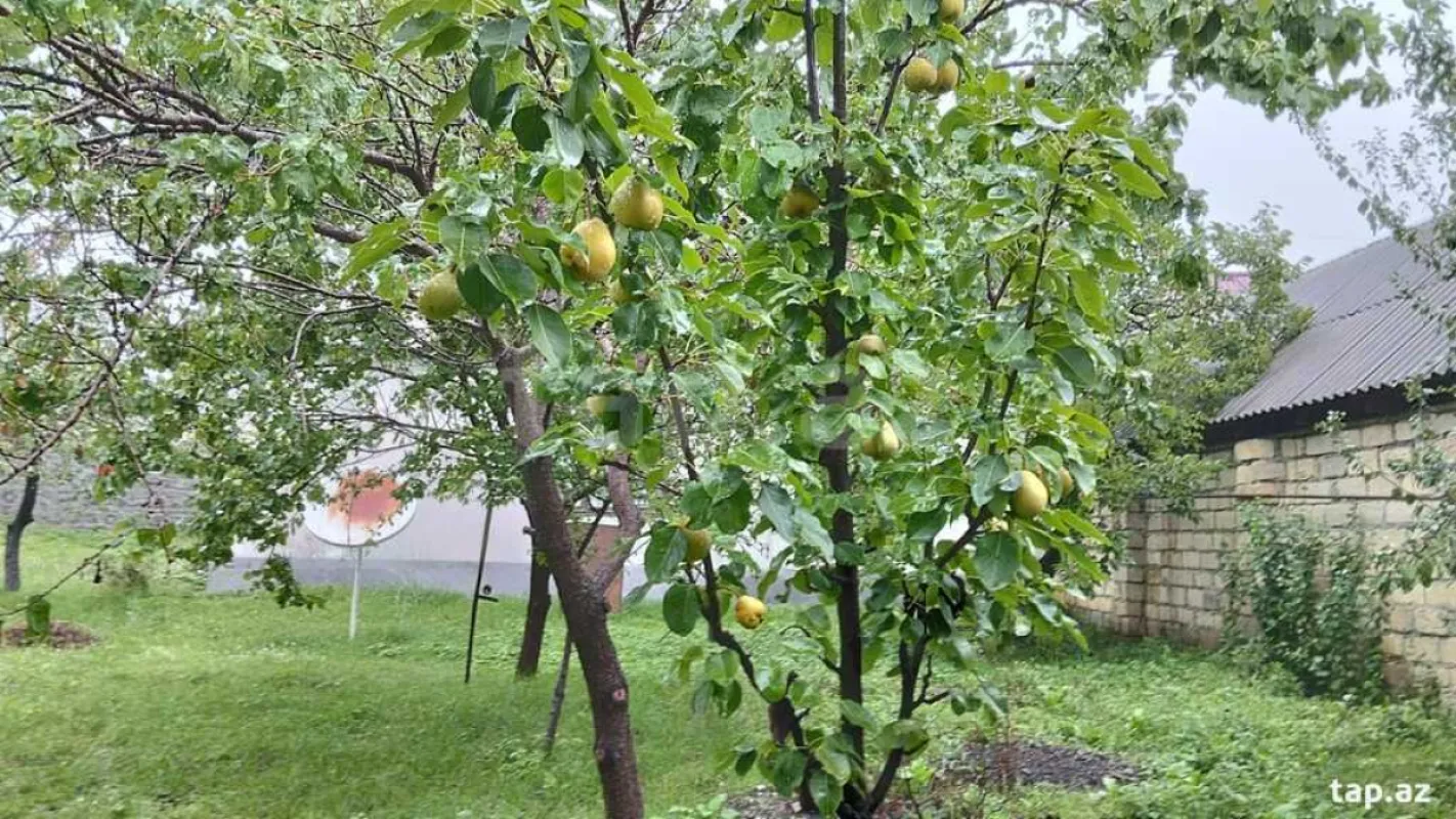 Satılır 3 otaqlı həyət evi 100 m²