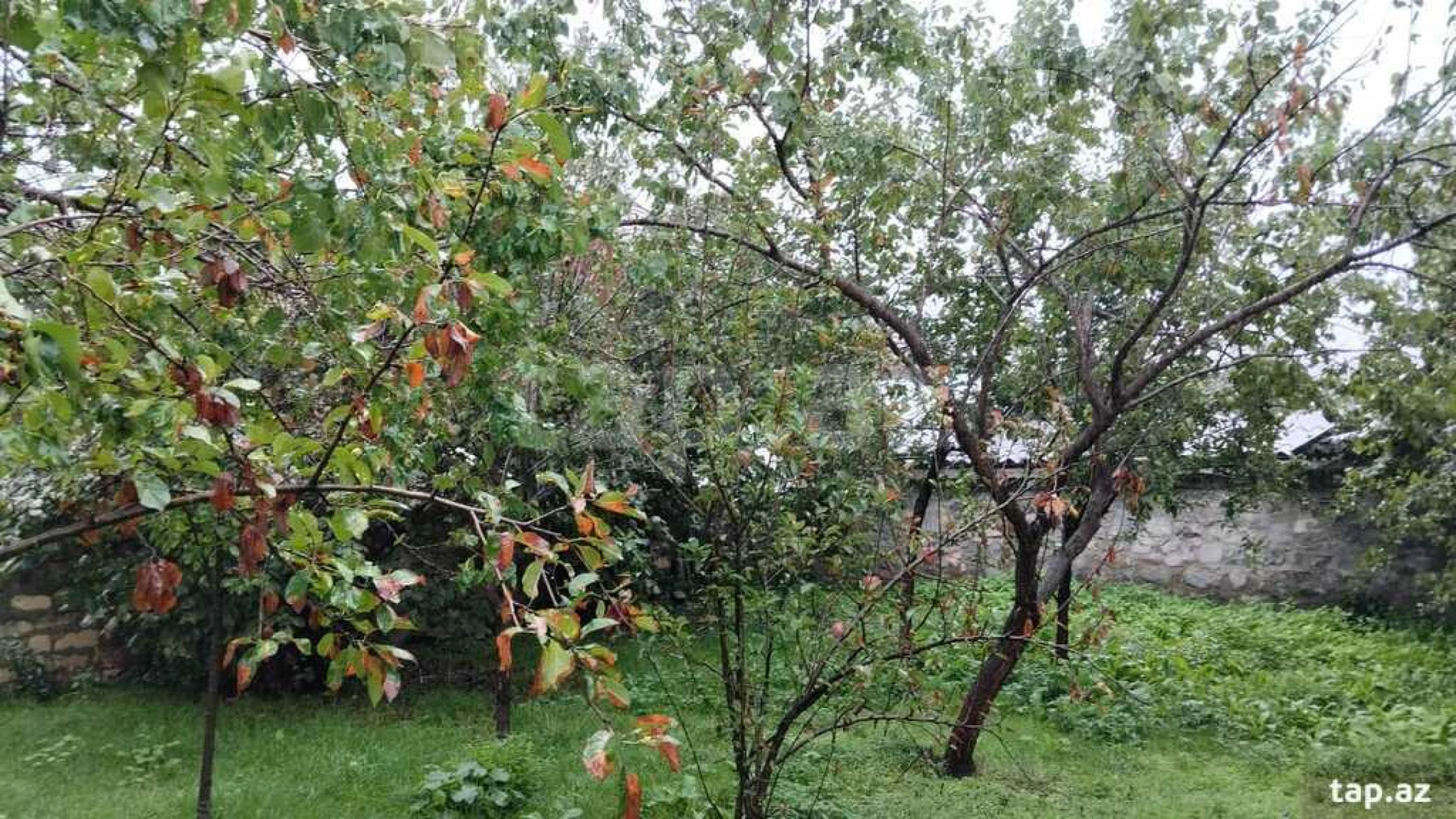 Satılır 3 otaqlı həyət evi 100 m²