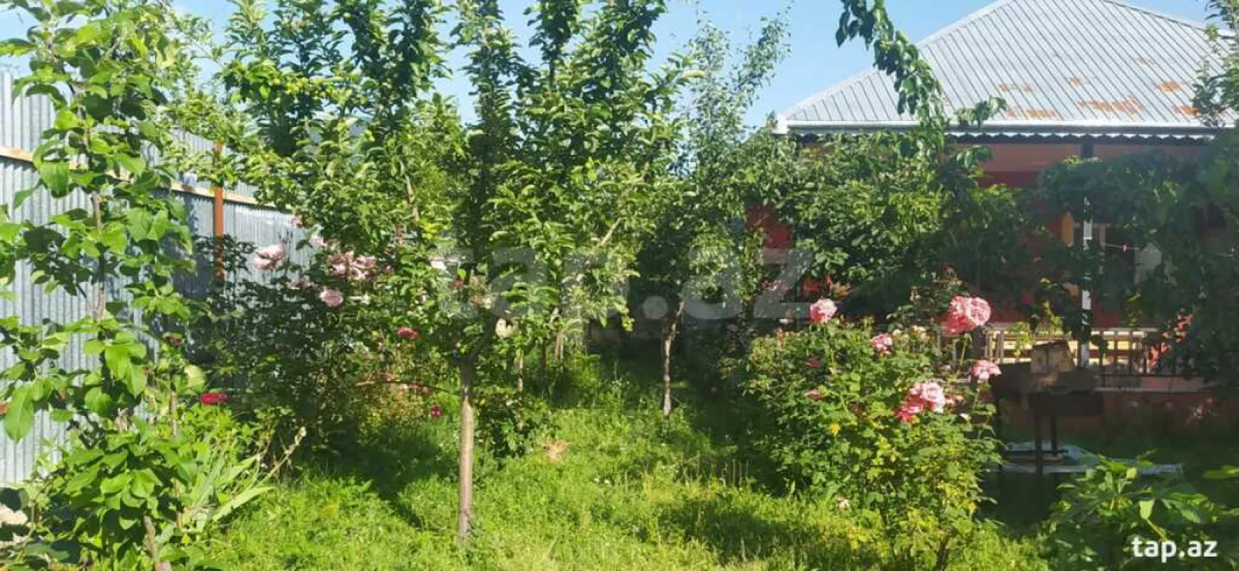 Kirayə verilir 3 otaqlı həyət evi 100 m²