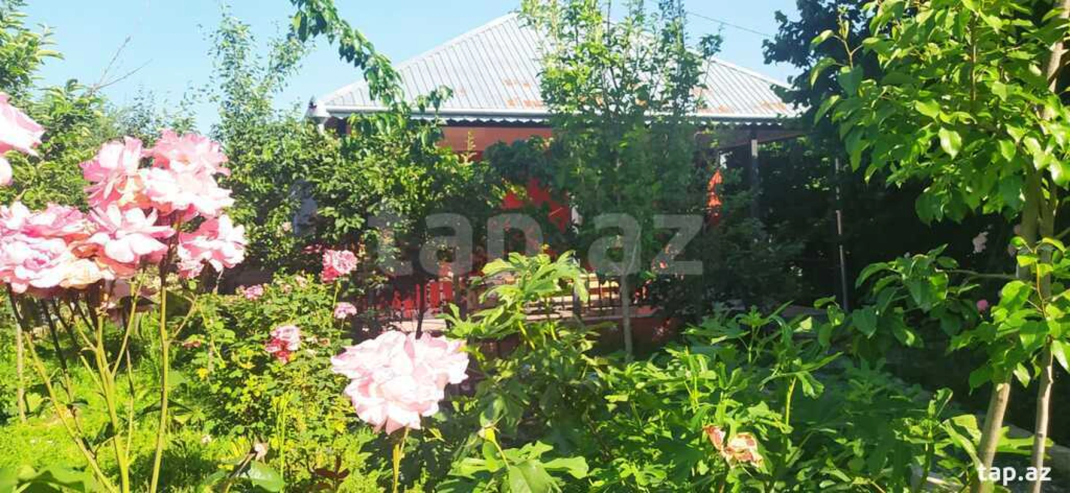 Kirayə verilir 3 otaqlı həyət evi 100 m²