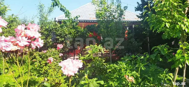 Kirayə verilir 3 otaqlı həyət evi 100 m²