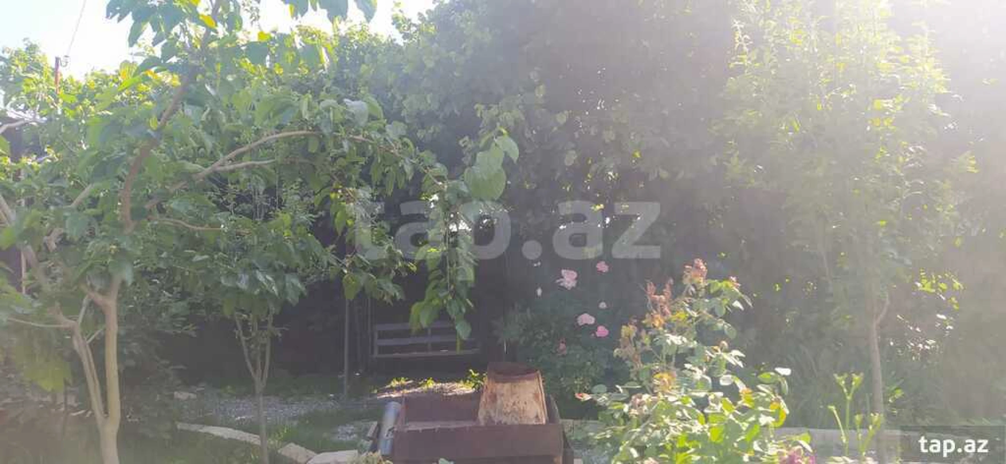 Kirayə verilir 3 otaqlı həyət evi 100 m²