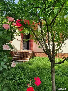 Kirayə verilir 3 otaqlı həyət evi