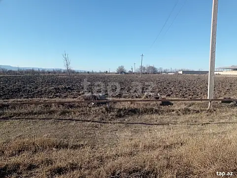 Satılır torpaq sahəsi