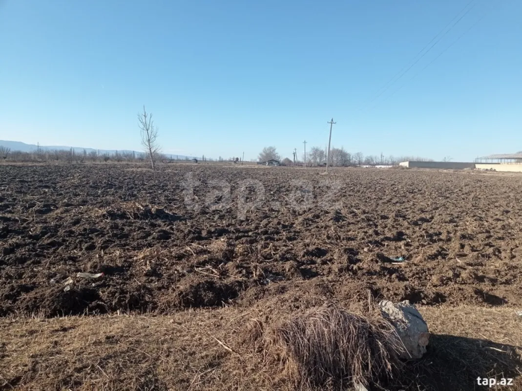 Satılır torpaq sahəsi