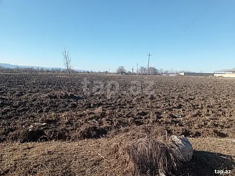 Satılır torpaq sahəsi