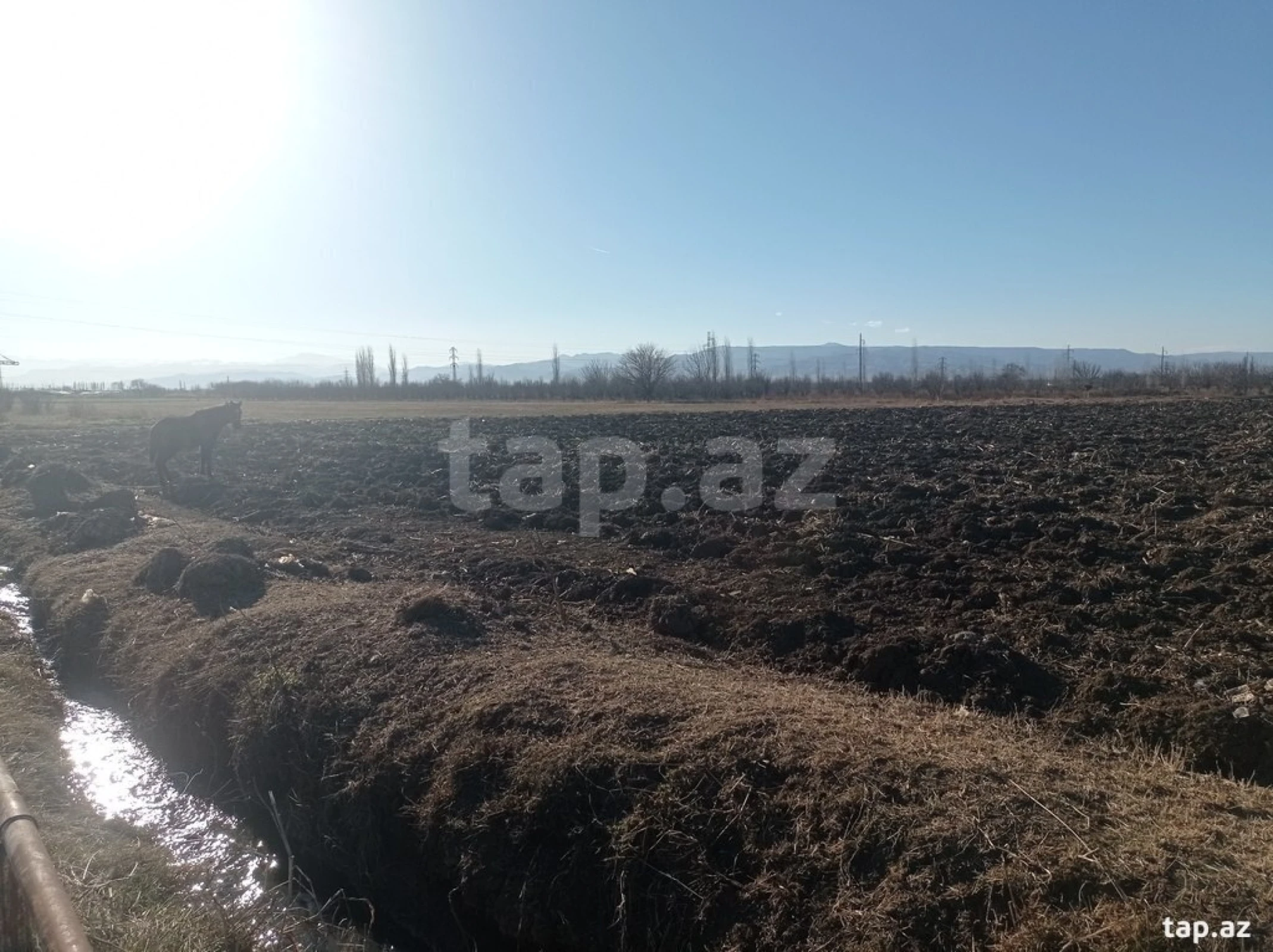 Satılır torpaq sahəsi