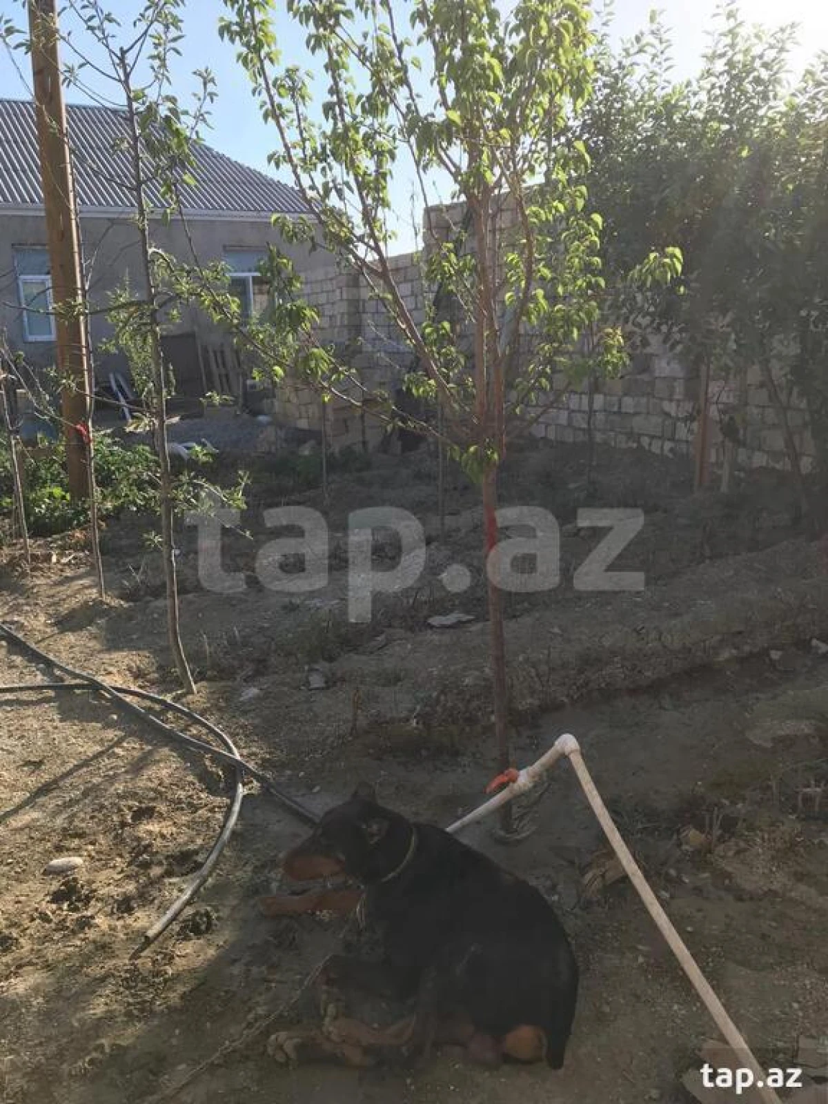 Satılır 6 otaqlı həyət evi 120 m²