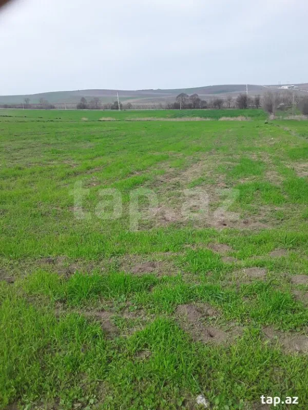 Satılır torpaq sahəsi